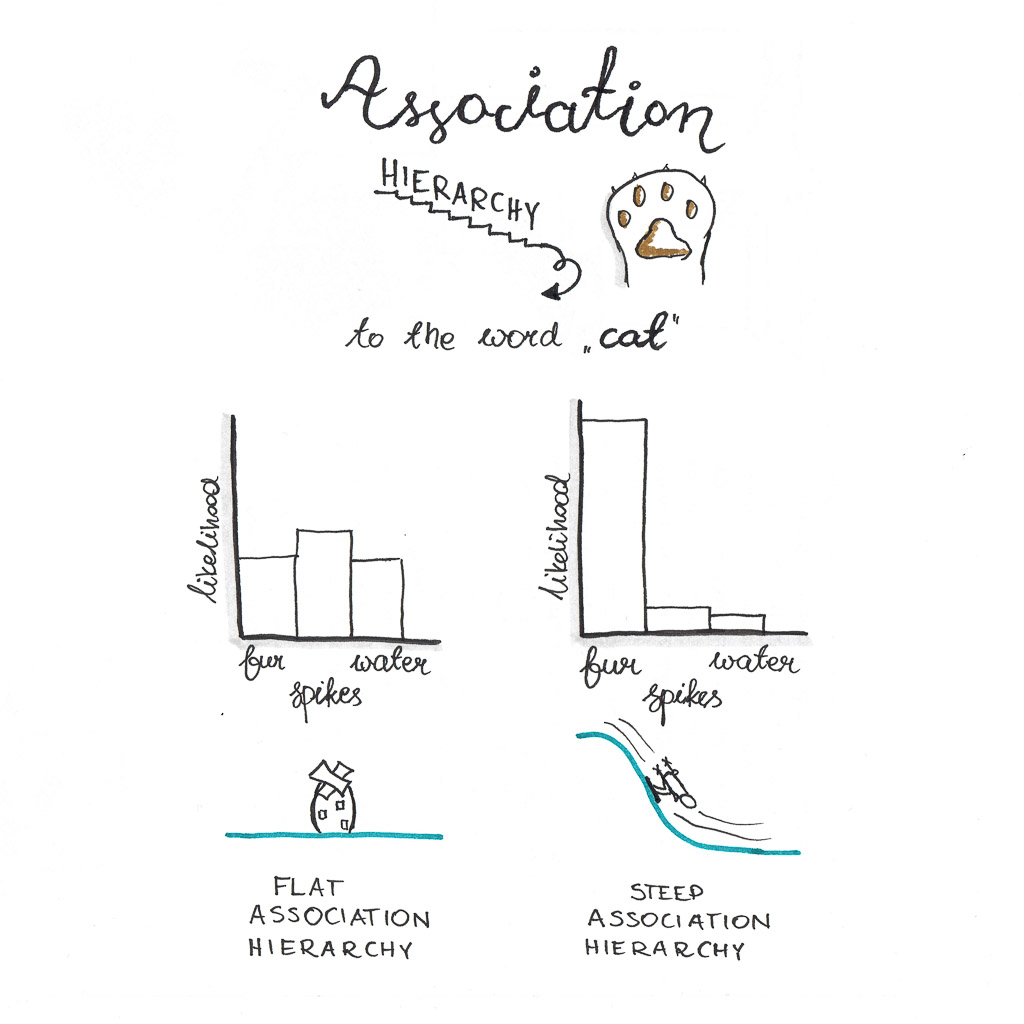 Flat and steep association hierarchies. Associations to the word cat.